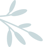 Dark silhouette of leaves on branch